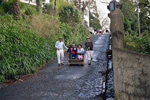 Contemporary Travel Destination Prints: Monte, Madeira