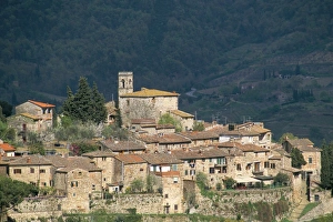 Tuscany Wine Country Prints: Montefiorale