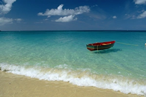 Boat On The Shore Prints: Moored boat