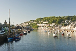 Morning Light on River Looe Print