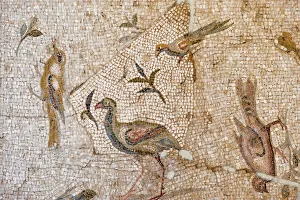 Mosaic of birds and flowers from Daphne (Harbiye), 2nd century AD, Hatay Archaeology Museum, Antioch, Hatay province Mosaic of birds and flowers from Daphne (Harbiye), 2nd century AD, Hatay Archaeology Museum, Antioch, Hatay province