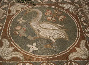 Mosaic dating from around 400 AD, Soli, Northern Cyprus, Cyprus, Europe Mosaic dating from around 400 AD, Soli, Northern Cyprus, Cyprus, Europe
