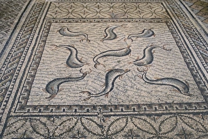 Volubilis UNESCO Site Prints: Mosaic floor