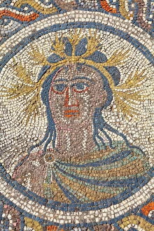 Archaeological Site of Volubilis Collection: Mosaic detail from the House of Dionysus, Volubilis, UNESCO World Heritage Site, Morocco