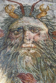 Mosaic, Neptune, Utica Punic and Roman archaeological site, Tunisia, North Africa, Africa Mosaic, Neptune, Utica Punic and Roman archaeological site, Tunisia, North Africa, Africa