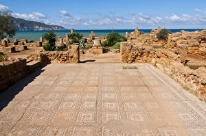 Tipasa Collection: Mosaics at the Roman ruins of Tipasa, UNESCO World Heritage Site, on the Algerian coast