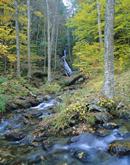 New England Landscape Photography Prints: Moss Glen Falls