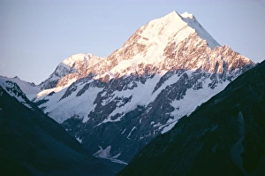 New Zealand Physical Geography Prints: Mount Cook in the setting sun