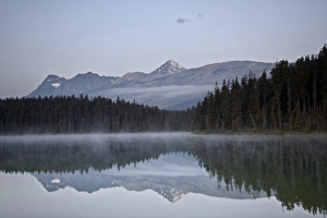 Mount Edith Cavell Print, reflected in Leach Lake