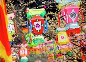 Multicolored handmade lanterns hang from trees in a park during the Chinese New Year Multicolored handmade lanterns hang from trees in a park during the Chinese New Year