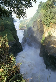 Uganda National Parks Prints: Murchison Falls