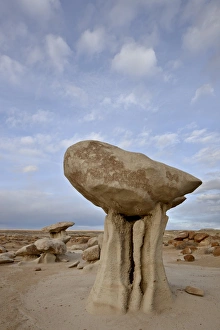 Mushroom-like hoodoo, Bisti Wilderness, New Mexico, United States of America Mushroom-like hoodoo, Bisti Wilderness, New Mexico, United States of America