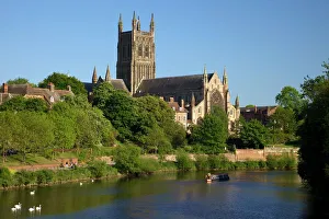 Mute swans and barge on River Severn, spring evening, Worcester Cathedral Mute swans and barge on River Severn, spring evening, Worcester Cathedral