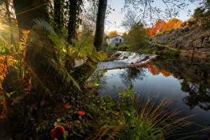 Natural landscape with red mushrooms with waterfall and water reflection at sunset in Natural landscape with red mushrooms with waterfall and water reflection at sunset in