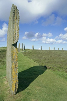 Neolithic Standing Stones Prints: Neolithic standing stones