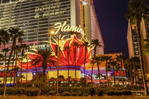 Neon lights, Las Vegas Strip at dusk with Flamingo Facade and palm trees, Las Vegas, Nevada, United States of America Neon lights, Las Vegas Strip at dusk with Flamingo Facade and palm trees, Las Vegas, Nevada, United States of America