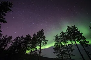 Northern lights (aurora borealis) over Lapland forest, Jukkasjarvi, Sweden, Scandinavia Northern lights (aurora borealis) over Lapland forest, Jukkasjarvi, Sweden, Scandinavia