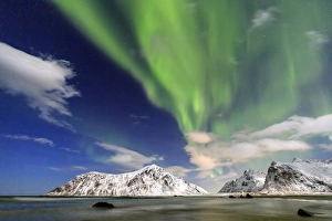 Northern Lights (aurora borealis) on Skagsanden sky, Lofoten Islands, Arctic, Norway Northern Lights (aurora borealis) on Skagsanden sky, Lofoten Islands, Arctic, Norway