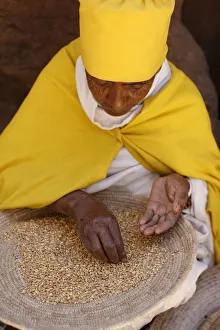 Nun sorting wheat in Bet Maryam church courtyard, Lalibela, Wollo, Ethiopia, Africa Nun sorting wheat in Bet Maryam church courtyard, Lalibela, Wollo, Ethiopia, Africa