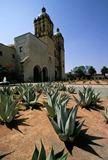 Mexican Heritage Sites Prints: Oaxaca, Mexico