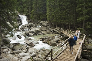 Central European National Park Prints: Obrovsky waterfall