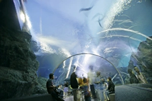 Bangkok Travel Destinations Prints: Ocean World