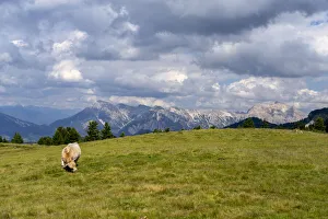 Summer In The Dolomites Prints: Odle mountain range, Erbe pass in summer, South Tyrol, Alto Adige, Dolomites, Italy