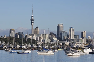 Okahu Bay and skyline, Auckland, North Island, New Zealand, Pacific Okahu Bay and skyline, Auckland, North Island, New Zealand, Pacific