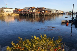 Old Fishermans Warf, Monterey, California, United States of America, North America Old Fishermans Warf, Monterey, California, United States of America, North America