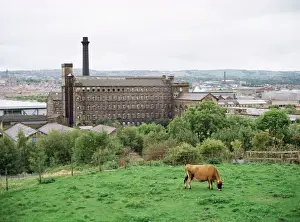 Prints of Old wool mills, west of the city, looking south from Manningham area, Bradford, West Yorkshire, England, United Kingdom, Europe West Yorkshire Prints: Old Wool Mills Print, Bradford West Yorkshire