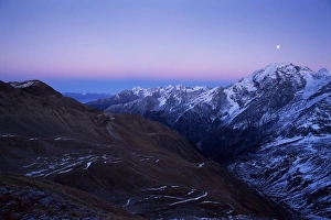 Ortler Alps Italy Prints: Ortler after sunset
