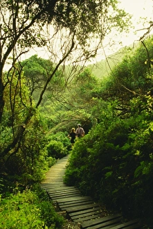 Contemporary Landscape Photography Prints: Otter Trail