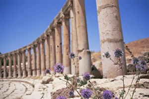 Roman Ruins In Jordan Prints: Oval plaza