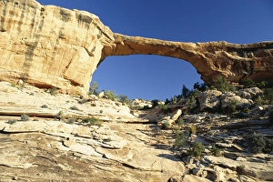 Natural Bridges National Monument Prints: Owachomo Bridge