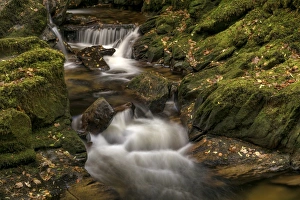 County Kerry Scenery Prints: Owengarriff River, County Kerry, Munster, Republic of Ireland, Europe
