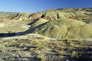 John Day Fossil Beds National Monument Prints: The Painted Hills