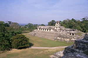 Palenque Mexico Prints: The Palace