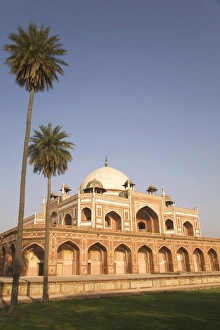 Colorful Palm Tree Images Prints: Palm trees beside the earliest example of Mughal architecture, Humayans Tomb