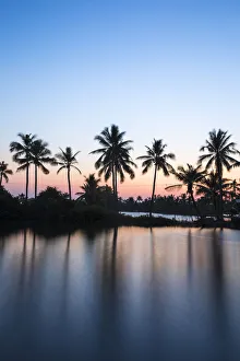 Kerala India Tourism Prints: Palm trees reflecting in backwaters, Munroe Island, Kollam, Kerala, India, Asia