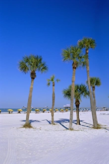 Relaxing Getaway Prints: Palms and beach