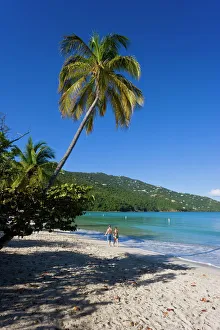 Palms and beach at Magens Bay, the most famous beach on St. Thomas, St Palms and beach at Magens Bay, the most famous beach on St. Thomas, St