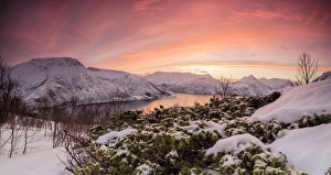 Panorama of frozen sea surrounded by snow framed by the orange sky at sunset, Torsken Panorama of frozen sea surrounded by snow framed by the orange sky at sunset, Torsken