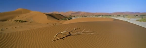 Africa's Largest Sand Dunes Prints: Panoramic view over dunes