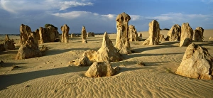 Nambung National Park Prints: Panorma of eroded rock formations, The Pinnacle Desert, Nambung National Park