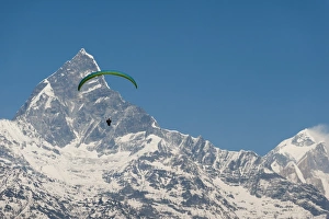 A paraglider hangs in the air with the dramatic peak of Machapuchare (Fishtail mountain) A paraglider hangs in the air with the dramatic peak of Machapuchare (Fishtail mountain)