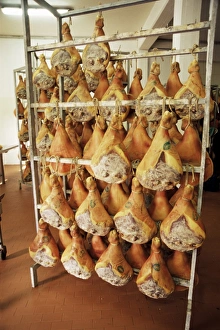 Prints of Parma hams on curing racks, near Pavullo, Emilia-Romagna, Italy, Europe Emilia-Romagna Prints: Print of Cured Parma Hams on Racks