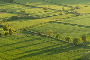 Patchwork fields in the Brecon Beacons National Park, Powys, Wales, United Kingdom Patchwork fields in the Brecon Beacons National Park, Powys, Wales, United Kingdom