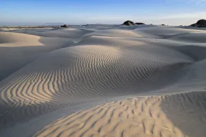 Baja California Sur Landscape Prints: Patterns in the dunes at Sand Dollar Beach, Magdalena Island, Baja California Sur