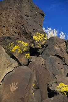Petroglyphs Print, New Mexico Landscape