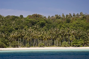 Thai Coastal Scenery Prints: Phi Phi Don Island